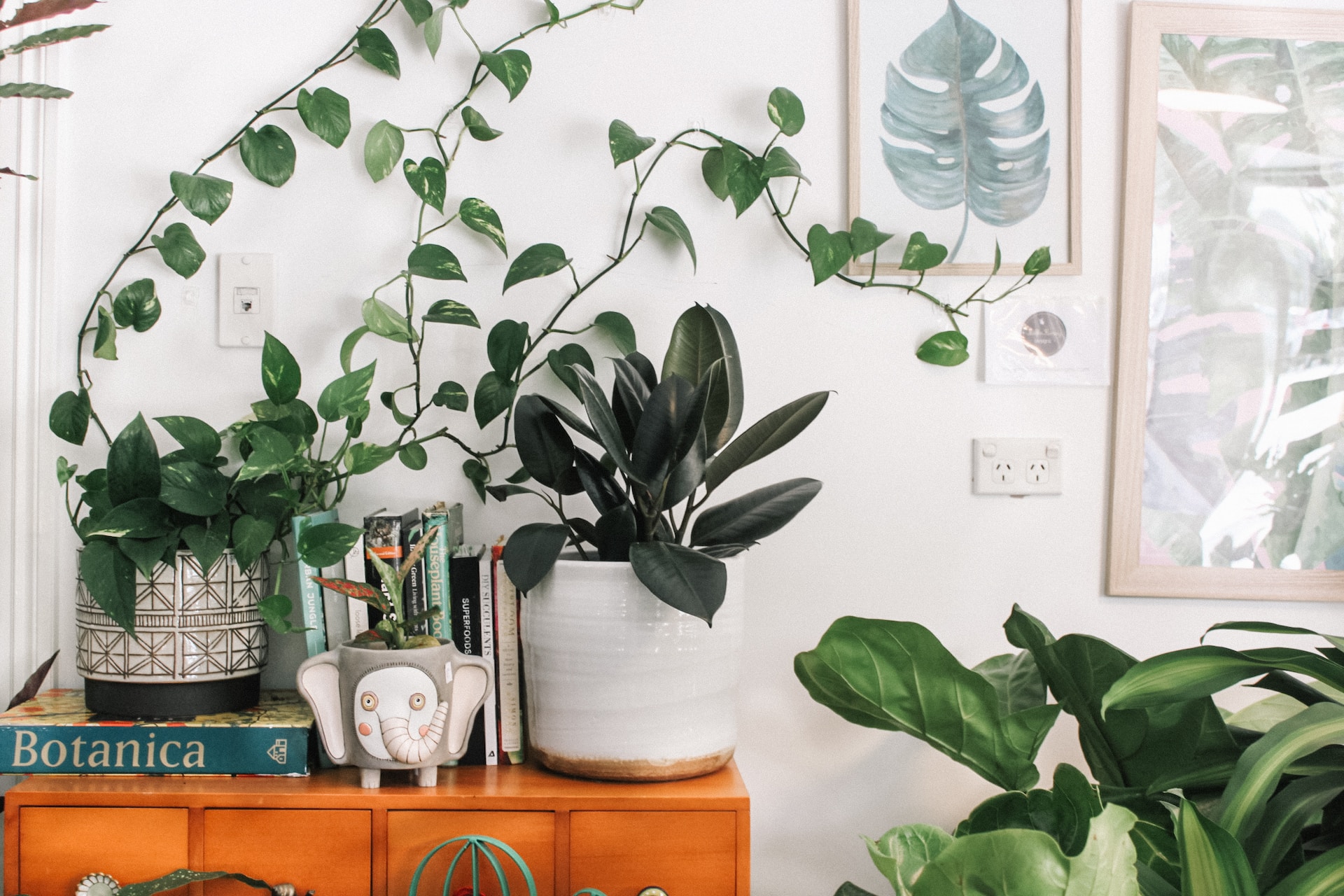 Plants Make People Happy